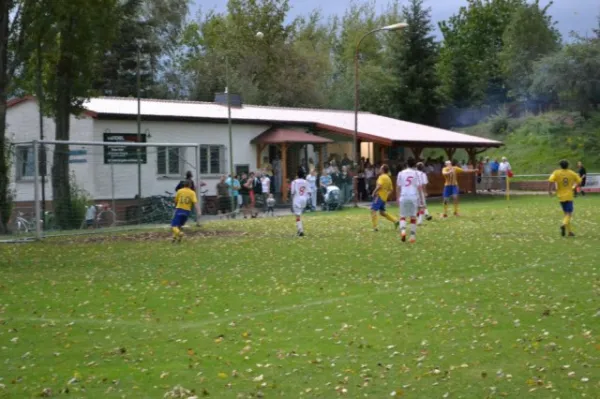 Punktspiel 2011 FSV - Langenfeld