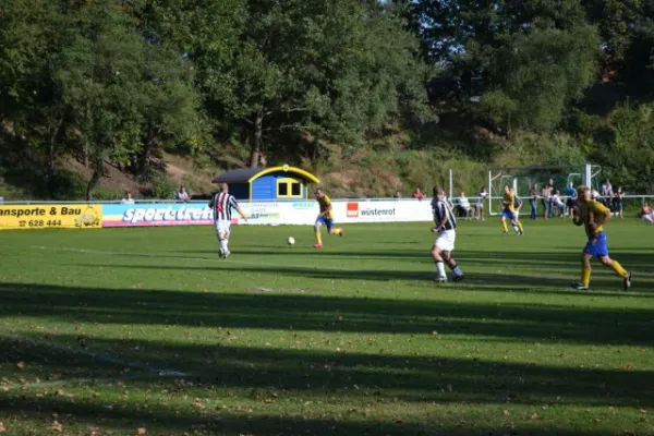 Punktspiel 2011 FSV - Wölferbütt